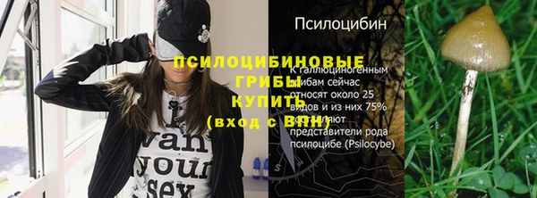 гашик Армянск