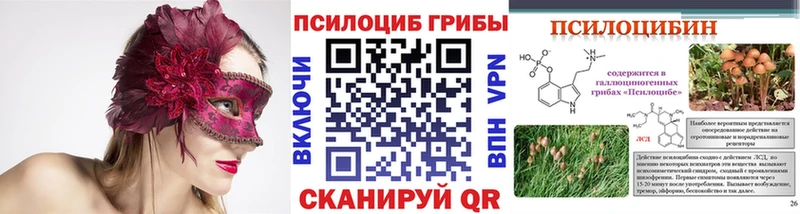 наркошоп  Зима  mega маркетплейс  Псилоцибиновые грибы мицелий 